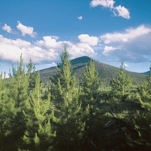 Meet your Posher, Abi